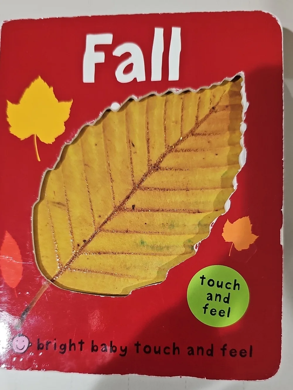 Touch and Feel Baby Fall Book